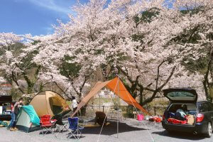 春に訪れたい、おすすめのキャンプ場 (東日本編)