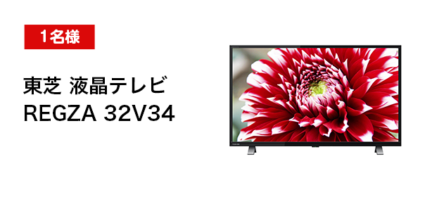 東芝 液晶テレビREGZA 32V34